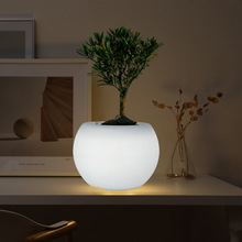LED furniture LED decoration lamp