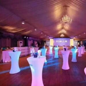 LED furniture LED decoration lamp